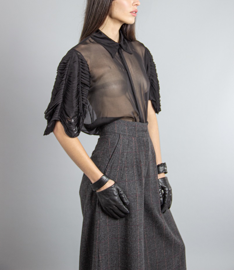 Pleated Sleeves Blouse